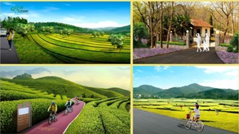 我司编制的“美丽乡村”江宁示范区规划通过专家论证