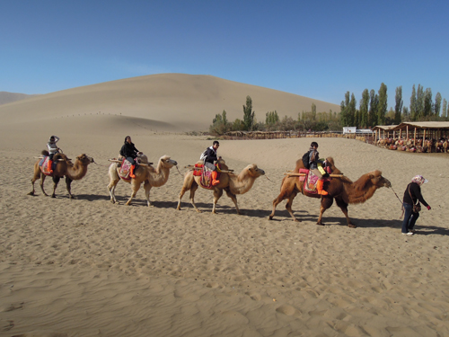 蕾奥旅行系列之穿越西北（图）