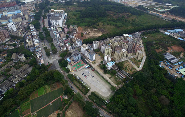 我司景观部调研深圳市龙华区版画村