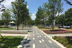 深圳坪山大道景观提升工程 设计