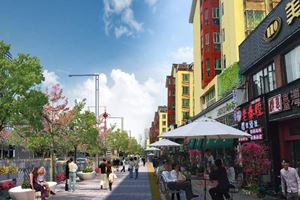 深圳市龙华街道绿化发展规划