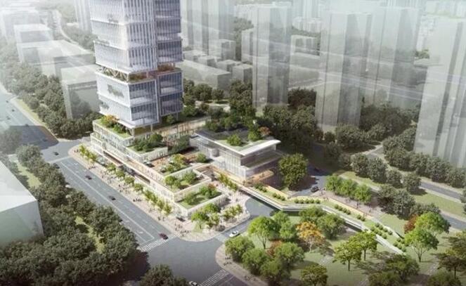 蕾奥动态 |《福田区福保街道福田保税区综合服务中心城市更新单元规划》项目顺利通过评审会