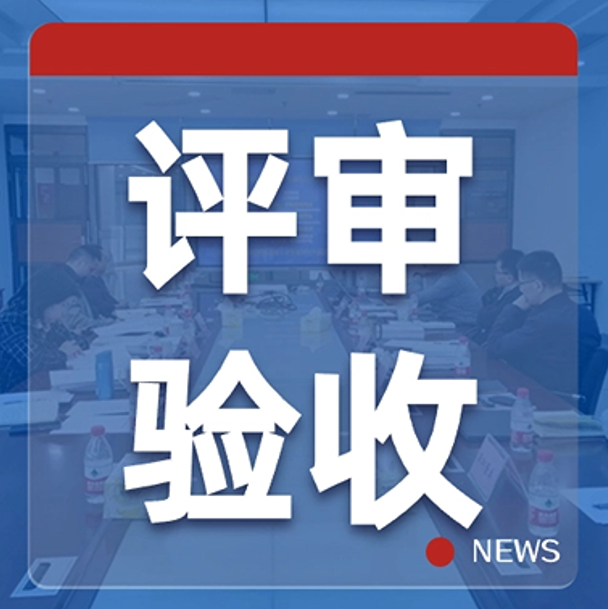 蕾奥动态 | 我司东莞国土空间规划实施路径研究项目顺利通过专家评审验收会